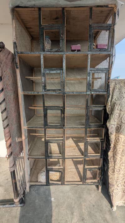 brids cage