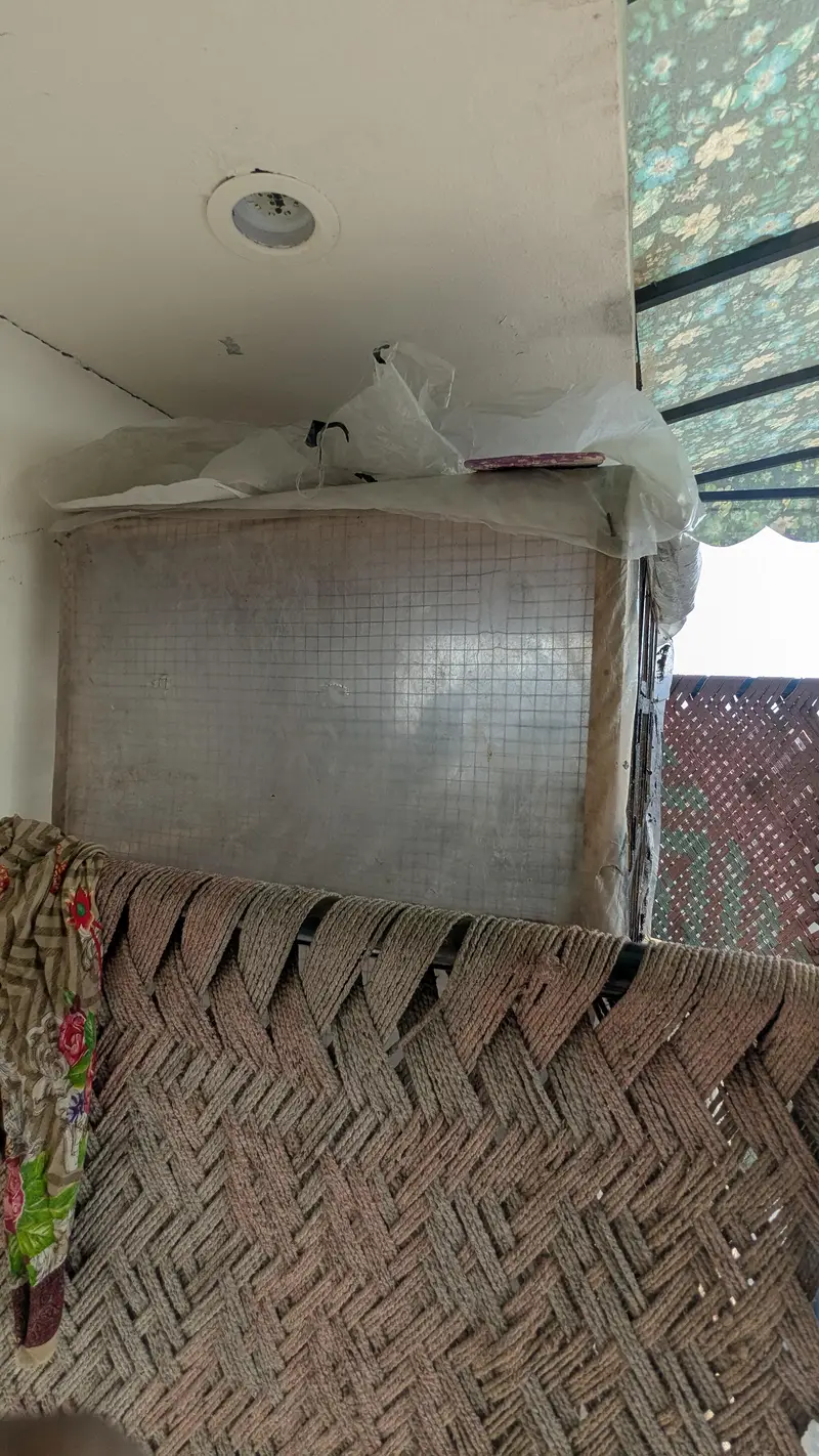 brids cage — photo 5