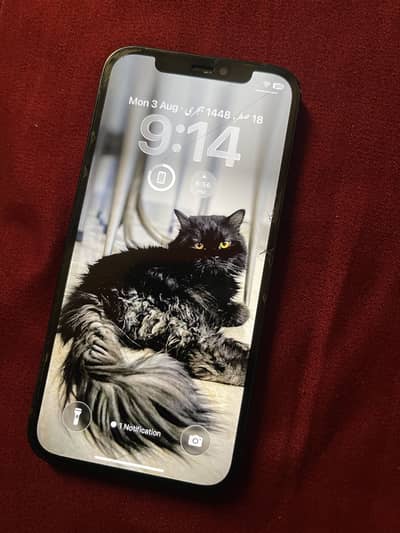 Apple iPhone 12