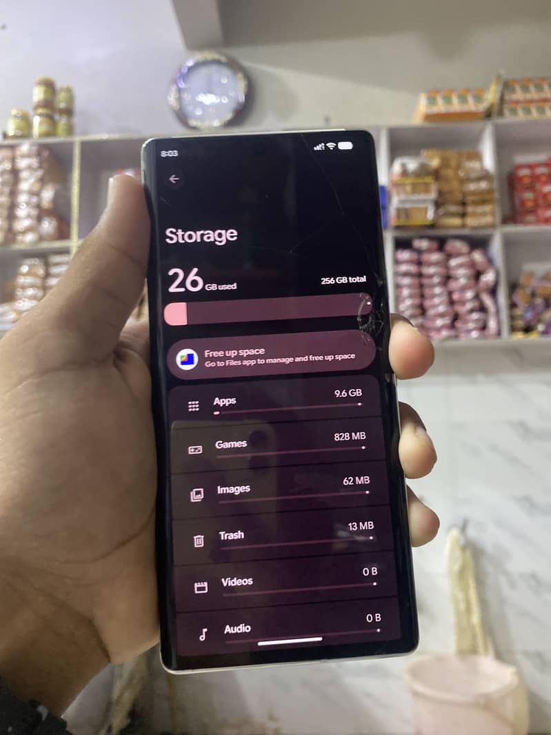 Google Pixel 6 Pro 1