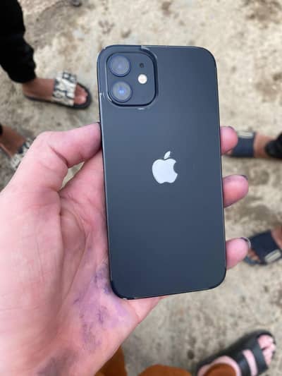 Apple iPhone 12
