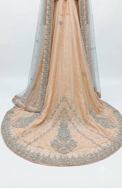 Tail Maxy /Bridal Dress