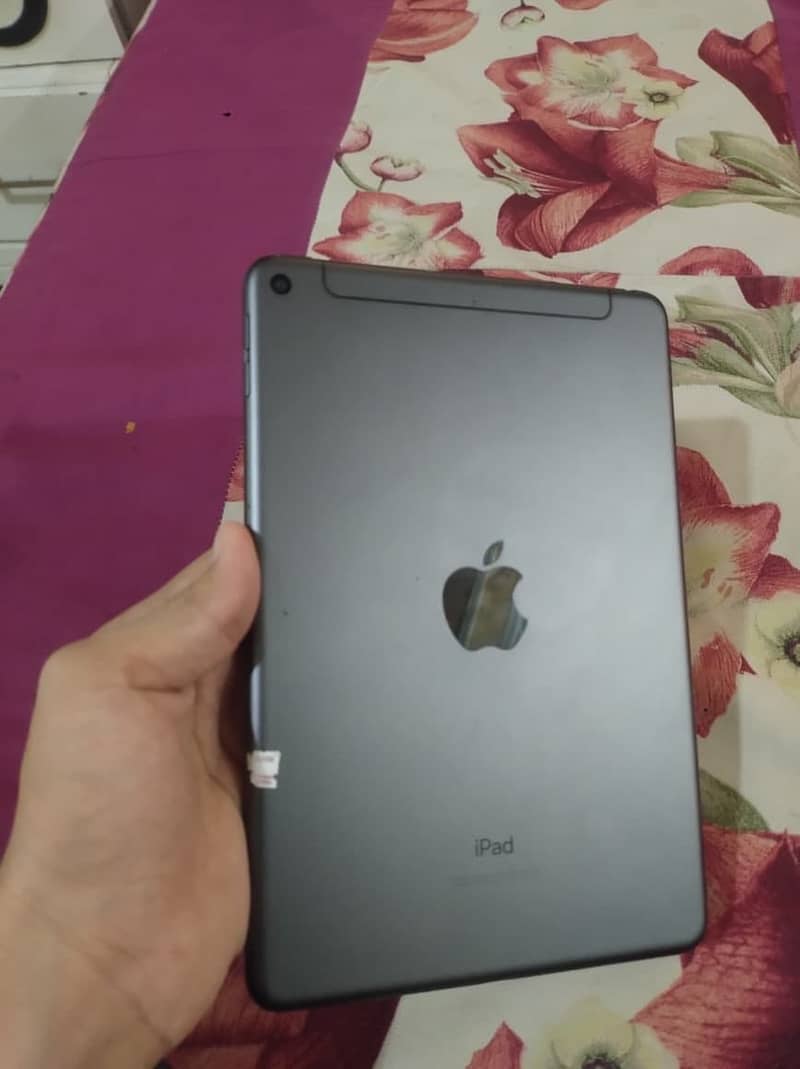 ipad mini5 0