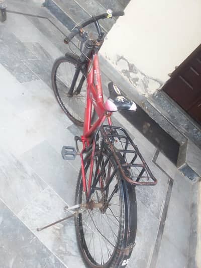 Cycle