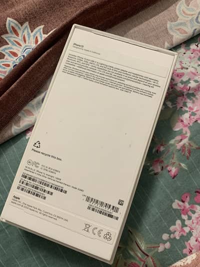 Apple iPhone 13