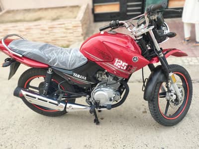 Yamaha Ybr 125G 2023 Scretchless Condition