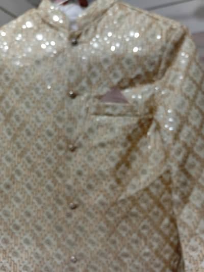 Prince coat, fancy party wear