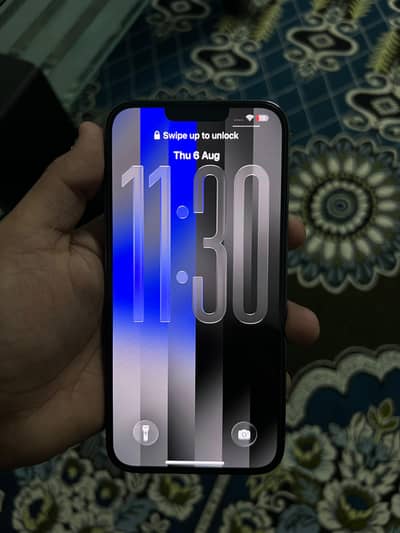 Apple iPhone 13 Pro Max