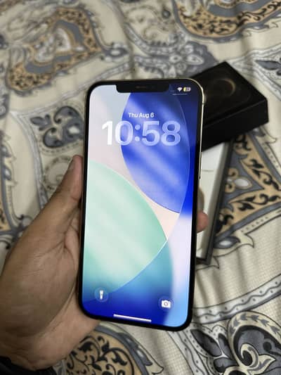 Apple iPhone 12 Pro Max
