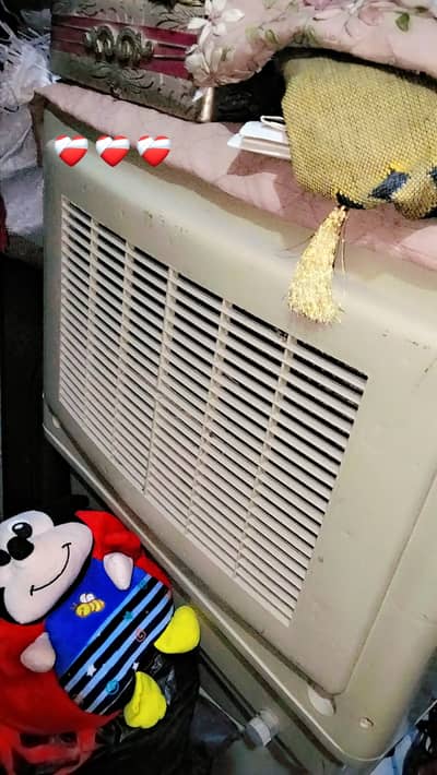 Room cooler