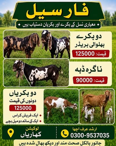 call arshad 0300-9537035