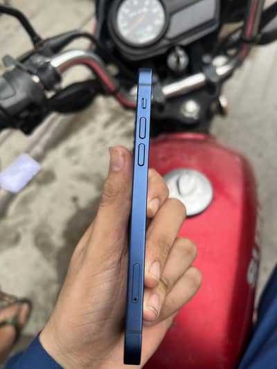 Apple iPhone 12 256 pta