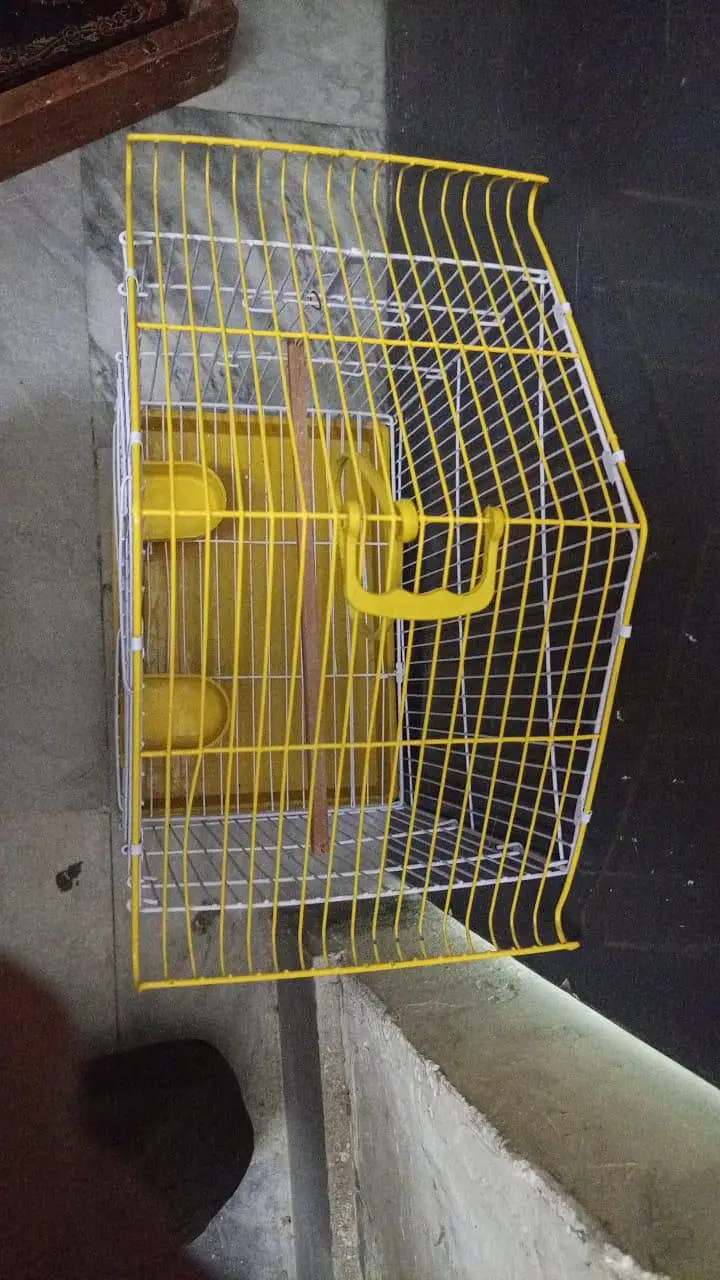 White & Yellow Wire Bird Cage - Hut Style with Stand (Like New) — photo 2