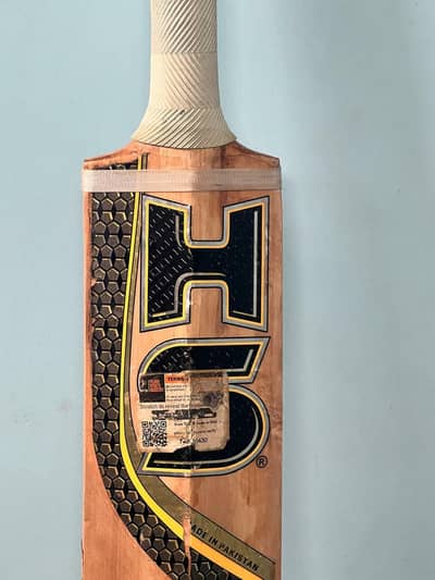HS 41 Pro Edition Oragnal English willow bat