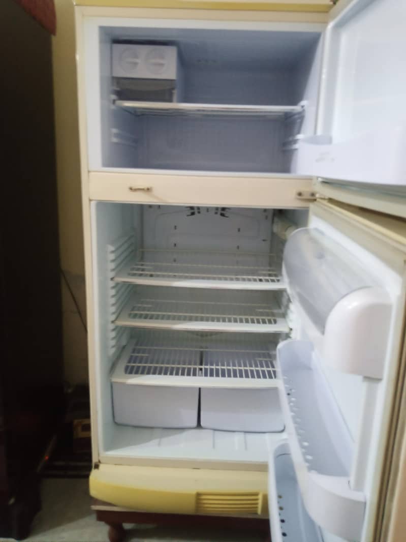 Pel fridge 5