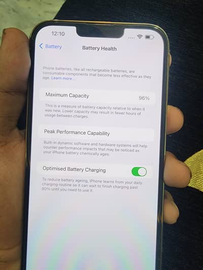 Apple iPhone 13 Pro Max