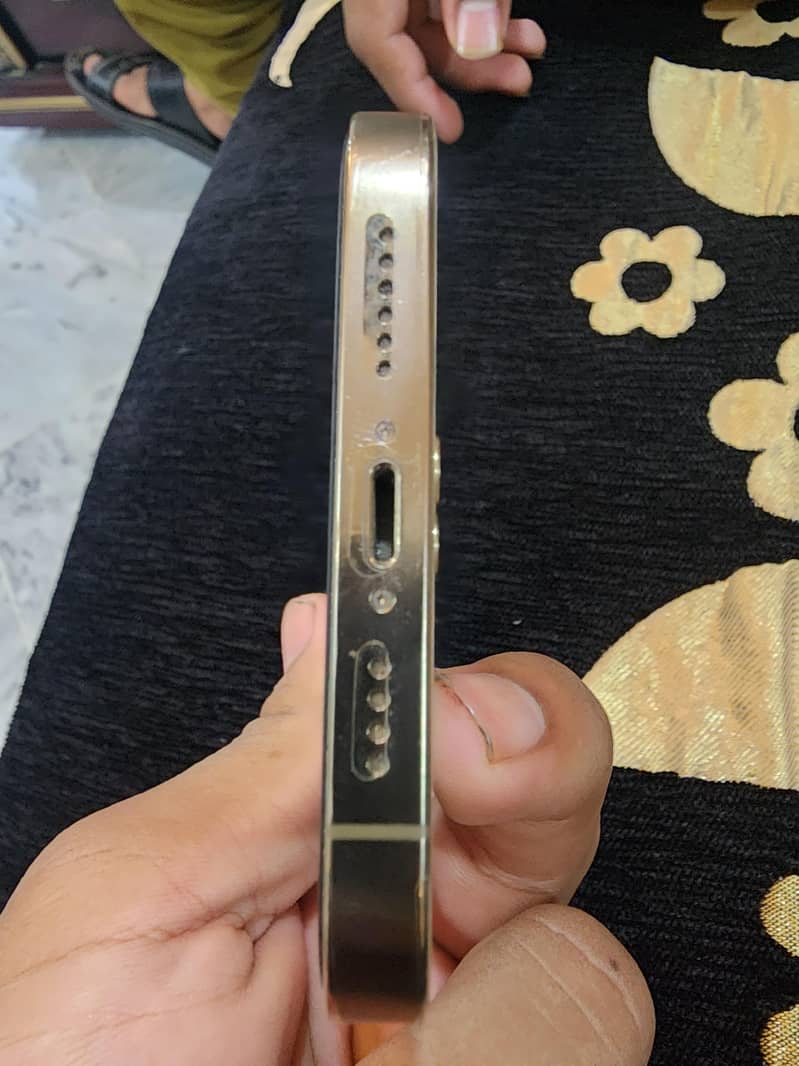Apple iPhone 13 Pro Max 2