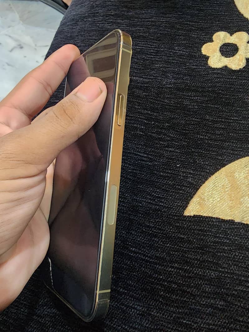 Apple iPhone 13 Pro Max 3