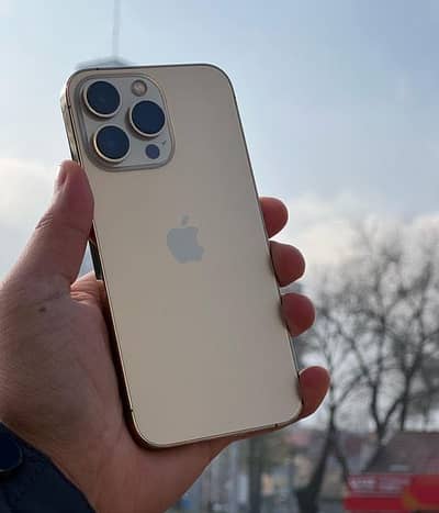 Apple iPhone 13 Pro Max jv
