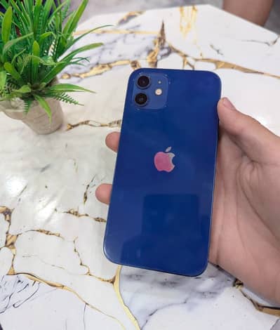 iPhone 12 Non PTA FU 64gb 10/8.5 Blue