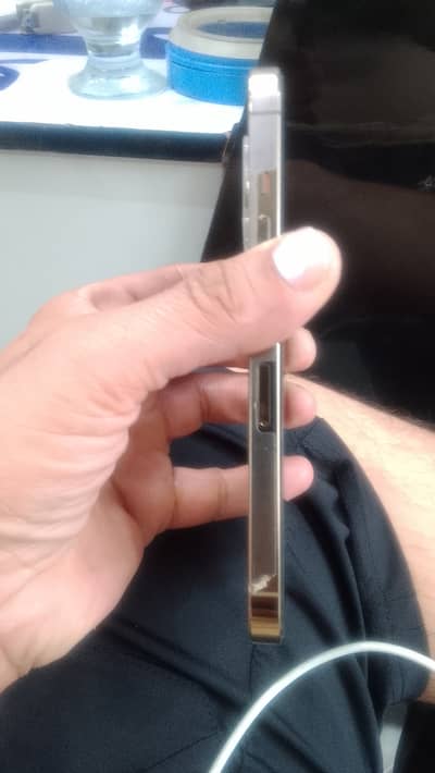 Apple I phone 13 pro