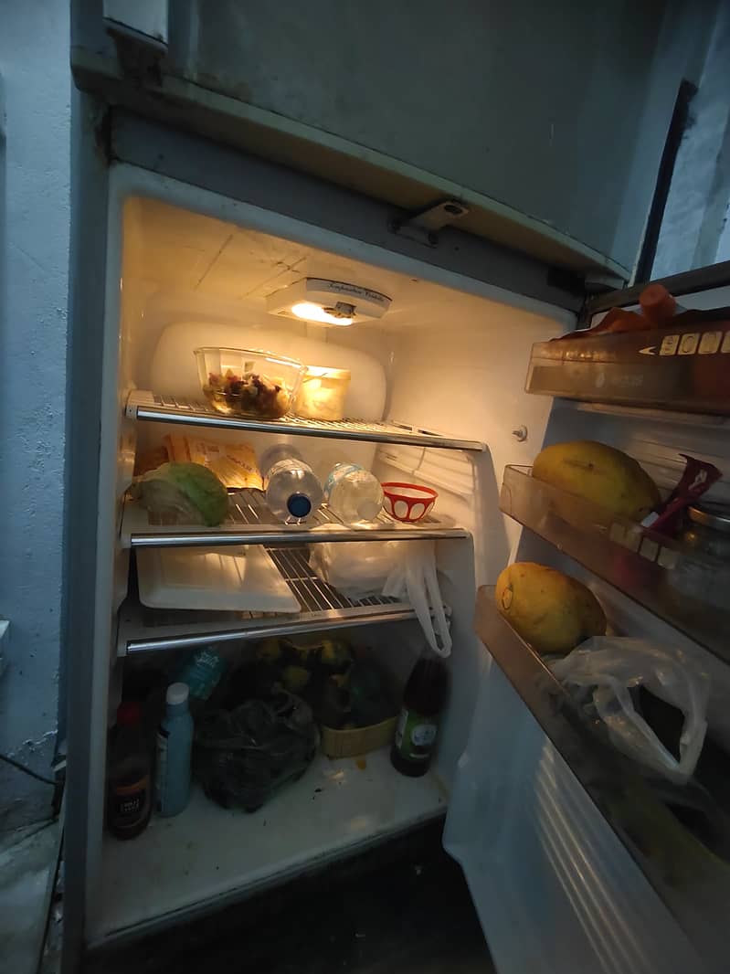 FREEZEER 4