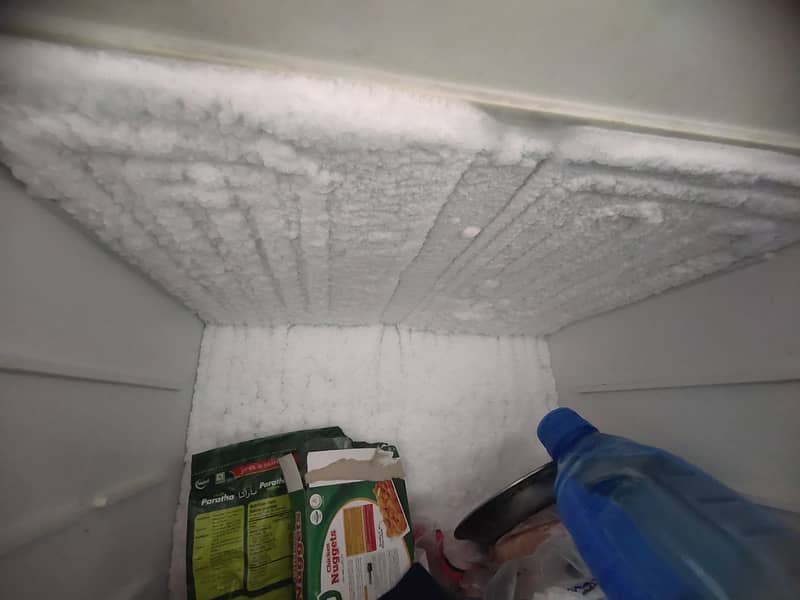 FREEZEER 6