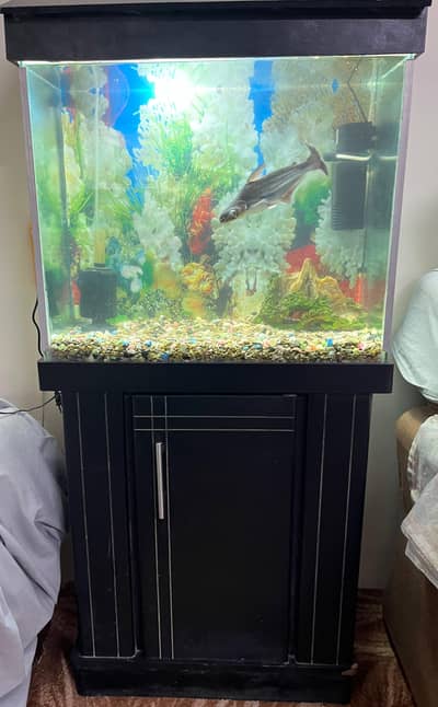 Aquarium Argent Sale
