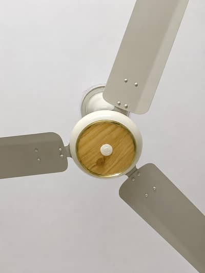 Breeze ceiling fan