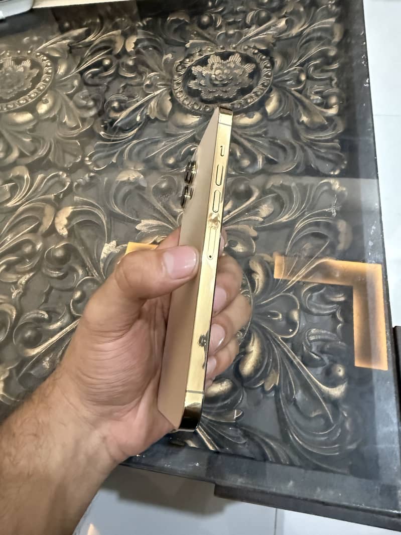 Apple iPhone 13 Pro Max 2