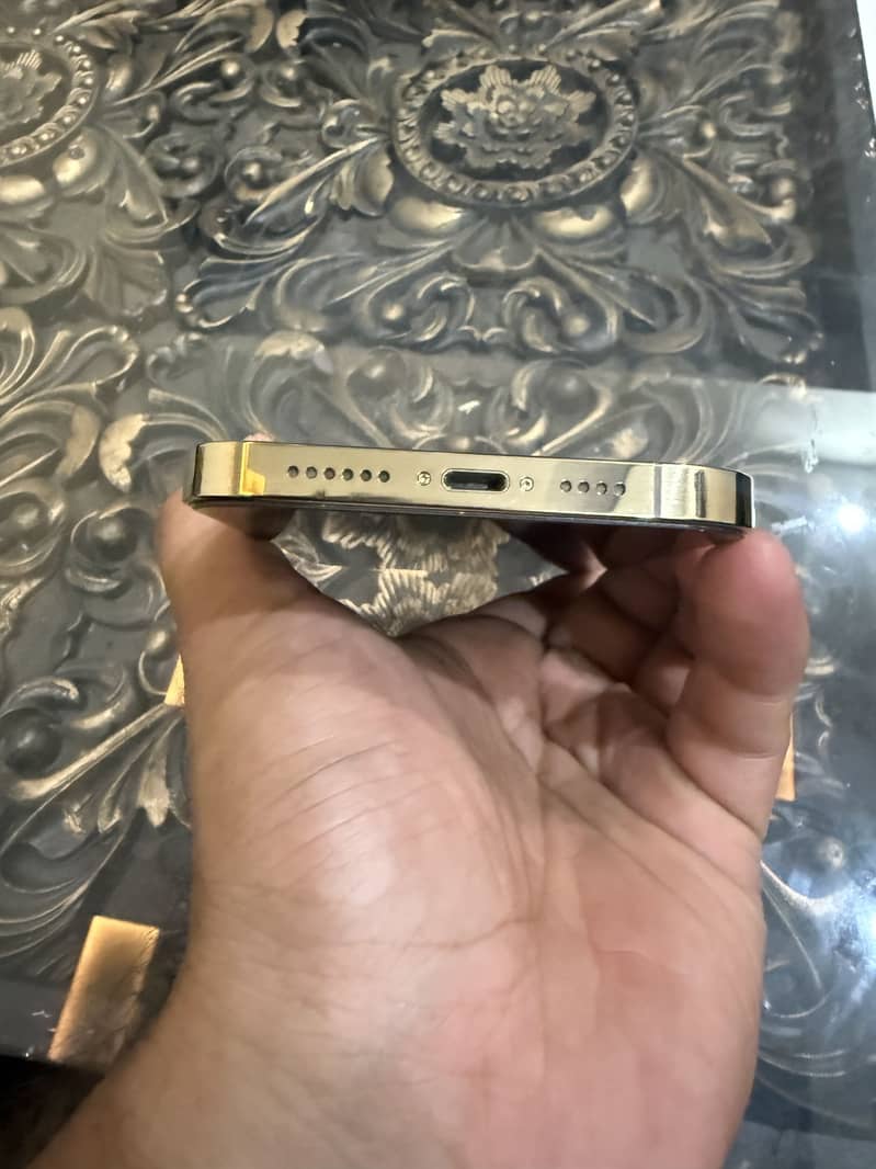 Apple iPhone 13 Pro Max 3
