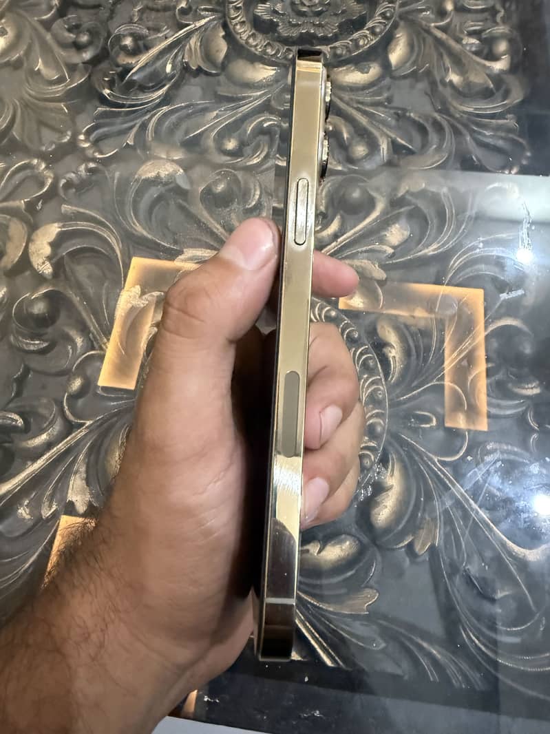Apple iPhone 13 Pro Max 4