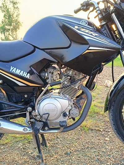 YAMAHA (YBR125)