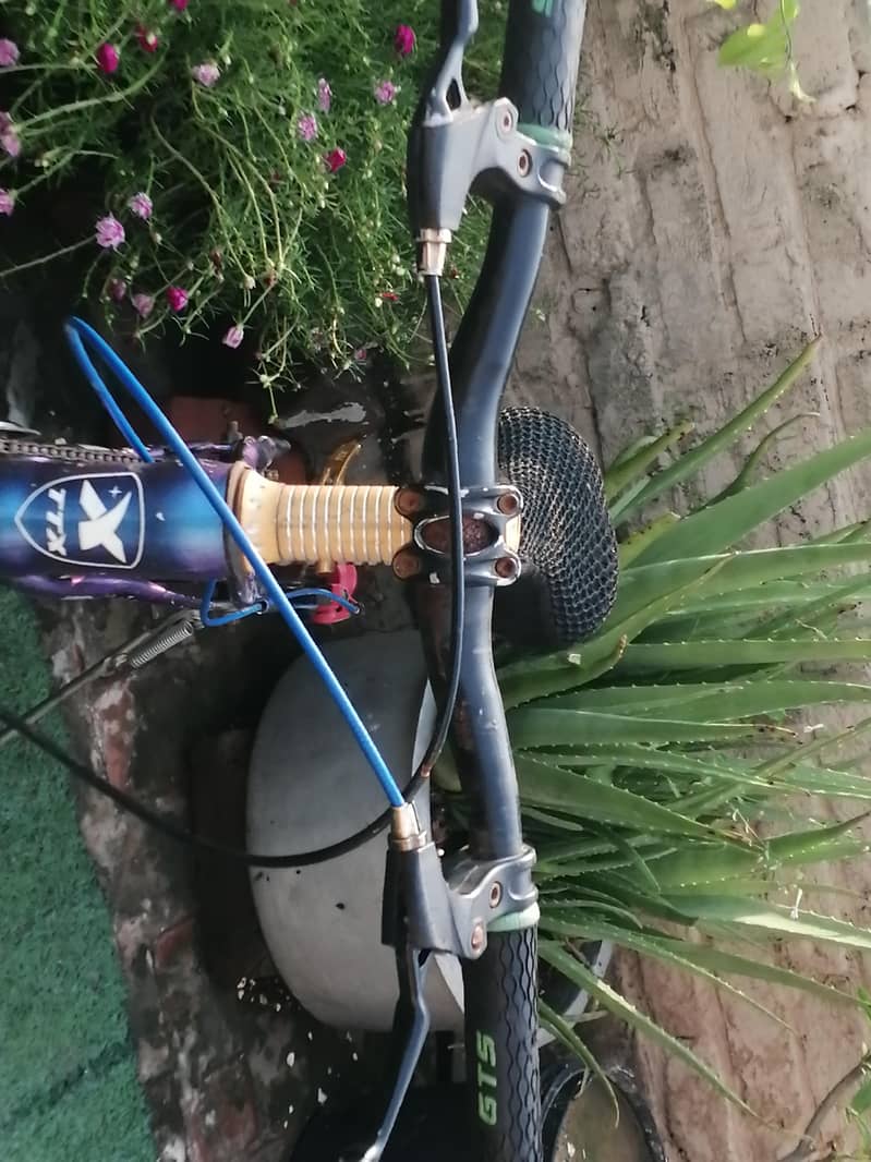 bicycle 2