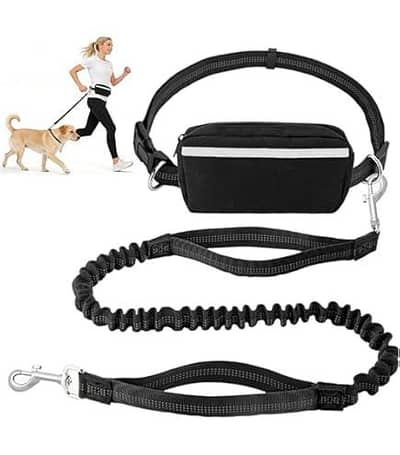 Dog Patta for walk