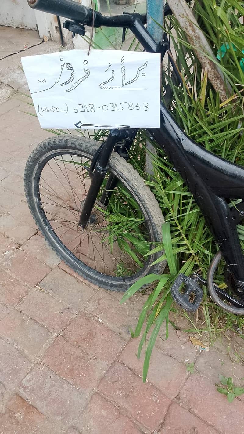 large size cycle 2