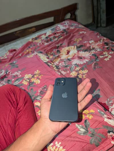 Apple iPhone 12