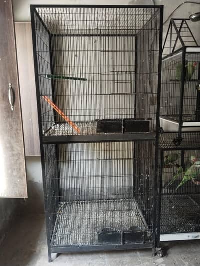 Breeding cage for sale