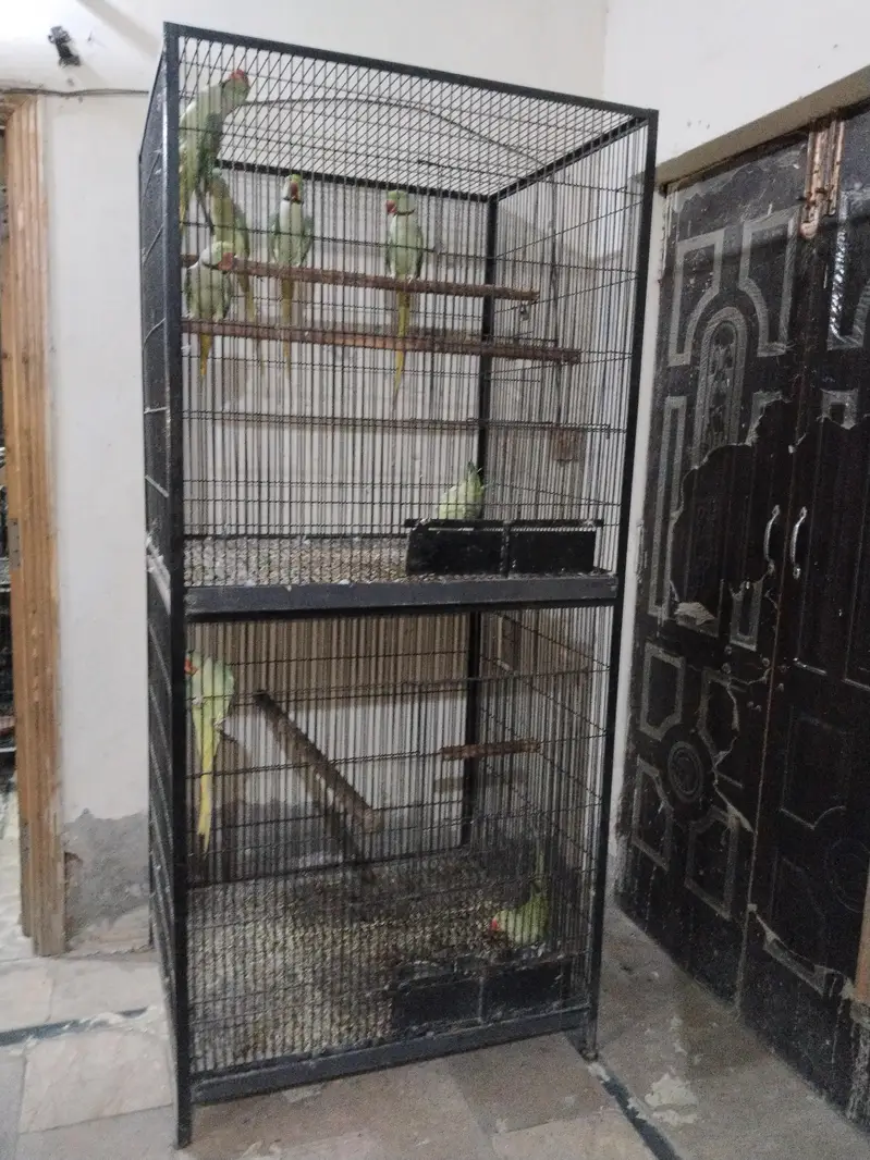 Breeding cage for sale — photo 2