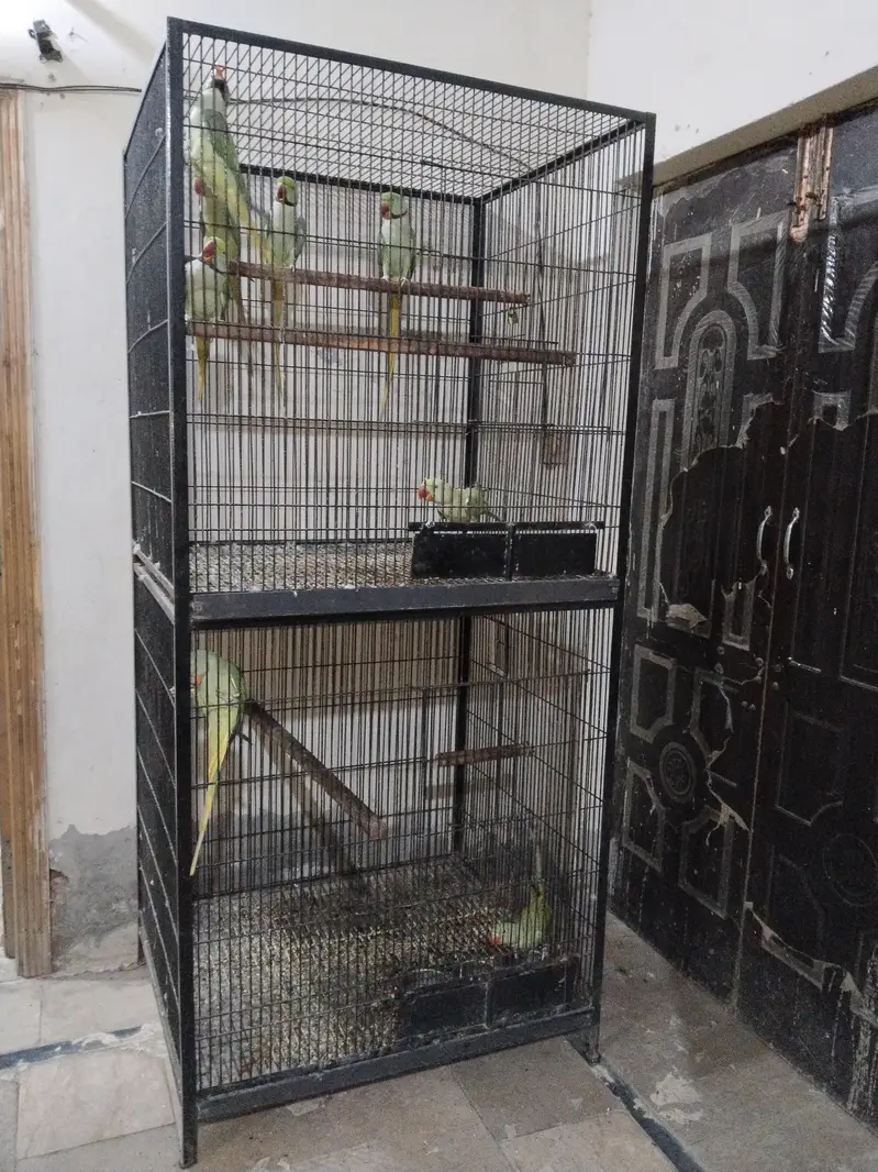 Breeding cage for sale — photo 3