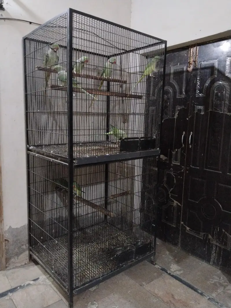 Breeding cage for sale — photo 4