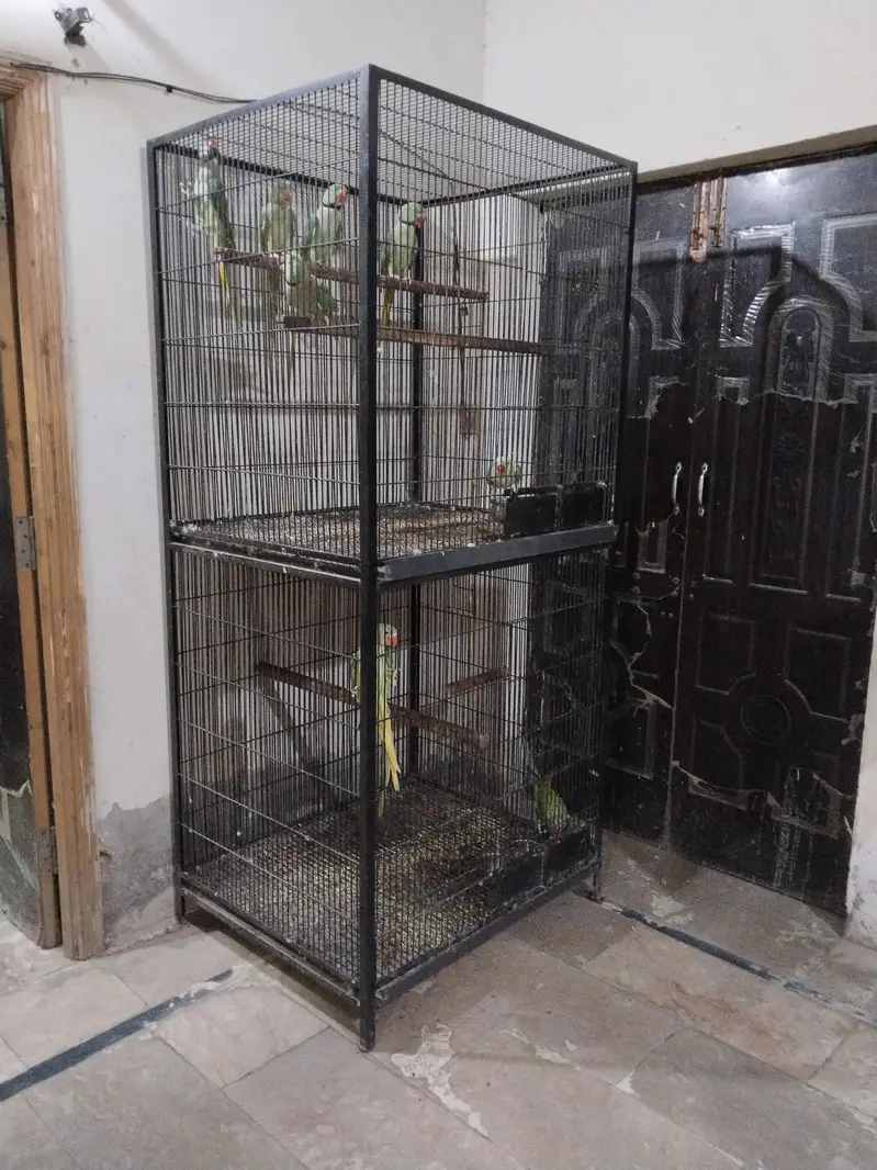 Breeding cage for sale — photo 5
