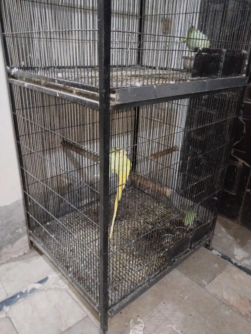 Breeding cage for sale — photo 7