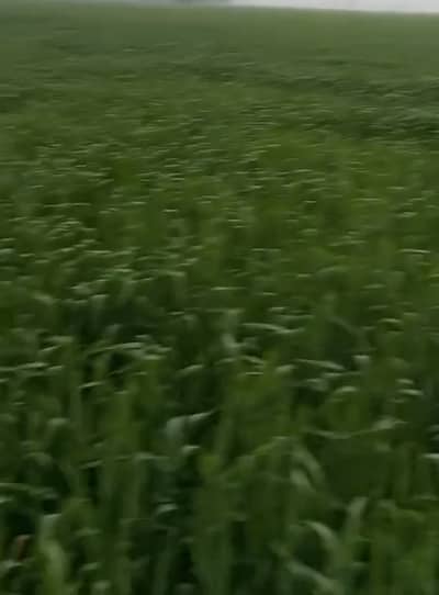 Agricultural Land Available For Sale