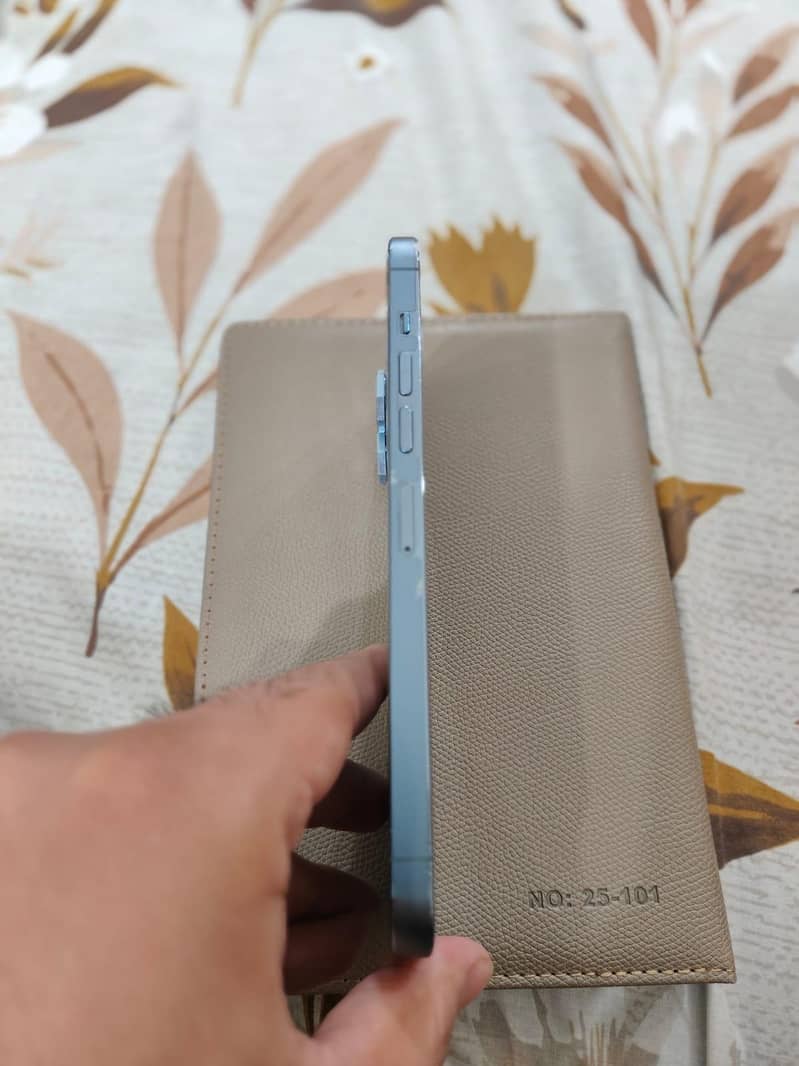 Apple iPhone 13 Pro Max 5