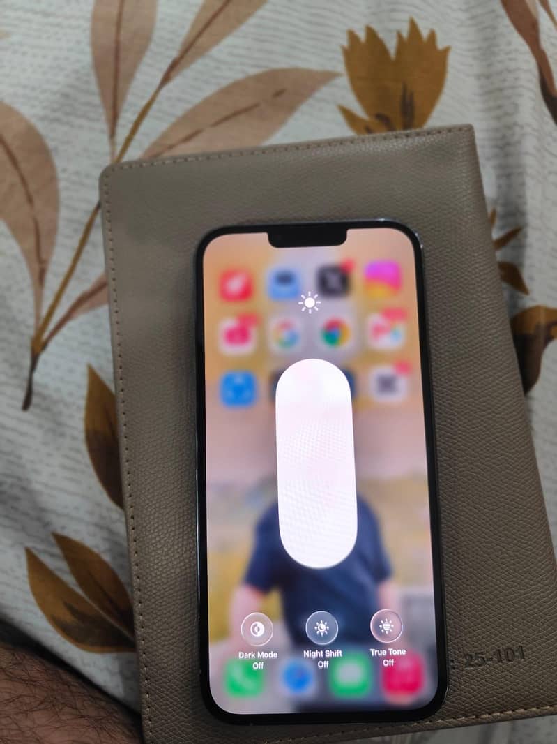 Apple iPhone 13 Pro Max 6