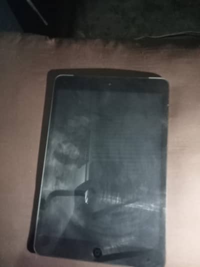 iPad mini 2