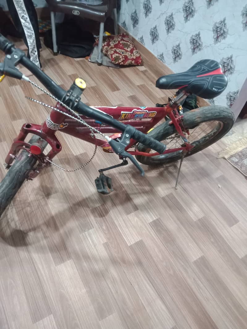 Bicycle 1