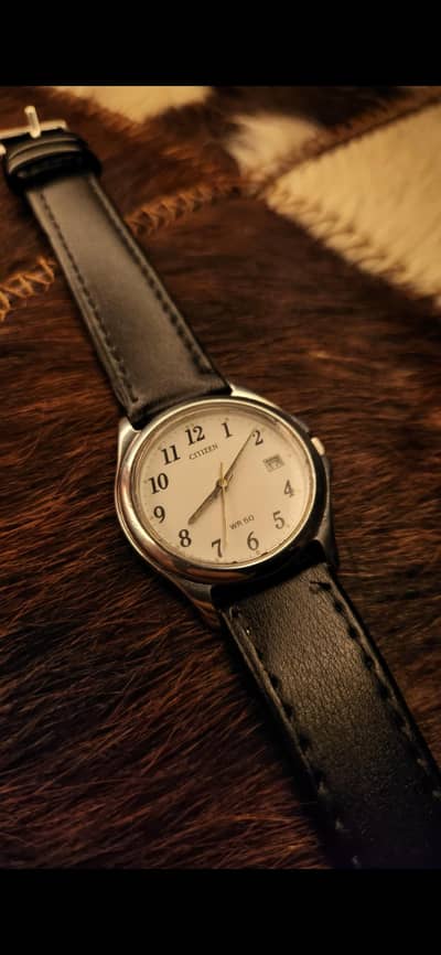 citizen dress watch /rado/rolex/seiko/apple/omega
