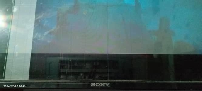 China Sony 55" led